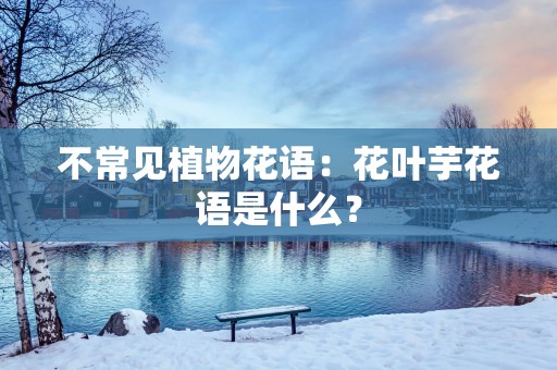 不常见植物花语：花叶芋花语是什么？