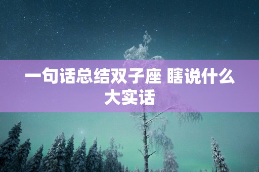 一句话总结双子座 瞎说什么大实话