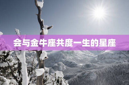 会与金牛座共度一生的星座