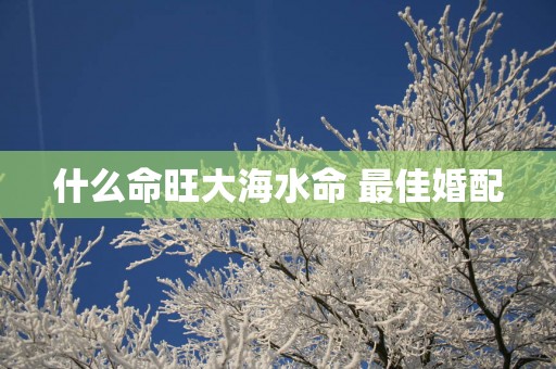什么命旺大海水命 最佳婚配