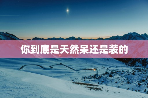 你到底是天然呆还是装的