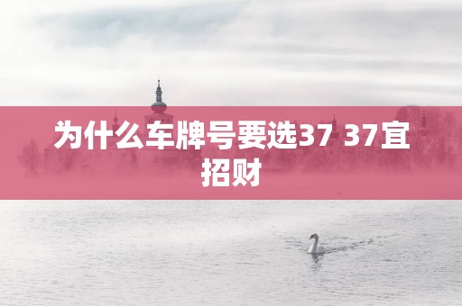为什么车牌号要选37 37宜招财