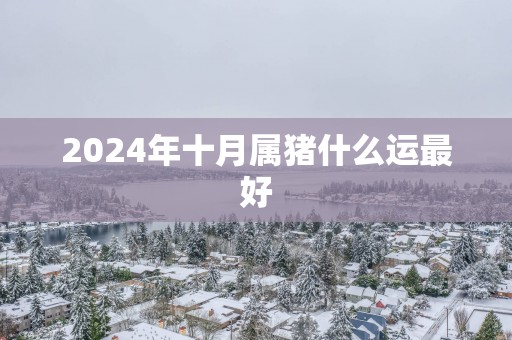 2025年十月属猪什么运最好