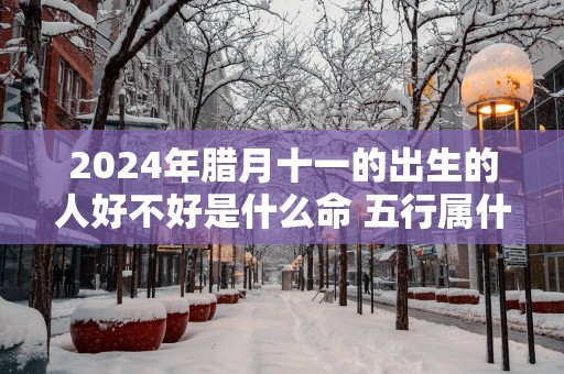 2025年腊月十一的出生的人好不好是什么命 五行属什么