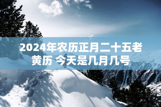 2024年农历正月二十五老黄历 今天是几月几号