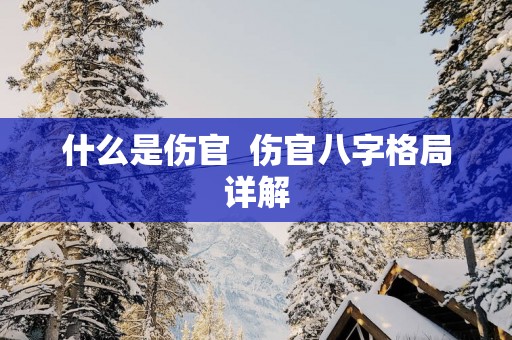 什么是伤官  伤官八字格局详解