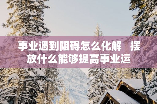 事业遇到阻碍怎么化解   摆放什么能够提高事业运