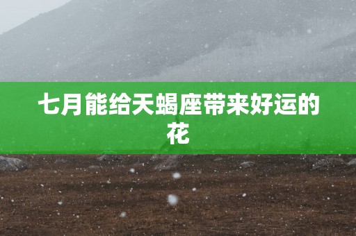 七月能给天蝎座带来好运的花