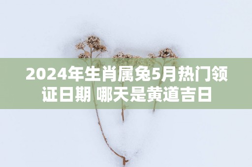 2025年生肖属兔5月热门领证日期 哪天是黄道吉日