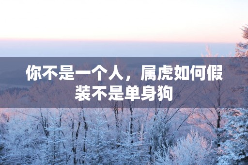 你不是一个人，属虎如何假装不是单身狗