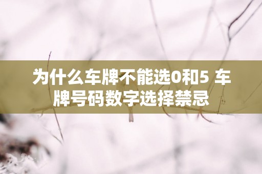 为什么车牌不能选0和5 车牌号码数字选择禁忌