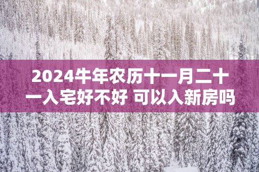 2025蛇年农历十一月二十一入宅好不好 可以入新房吗