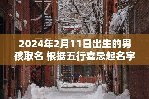 2025年2月11日出生的男孩取名 根据五行喜忌起名字