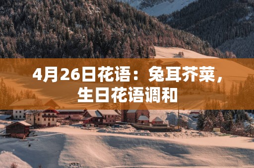 4月26日花语：兔耳芥菜，生日花语调和
