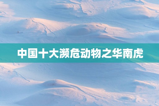 中国十大濒危动物之华南虎