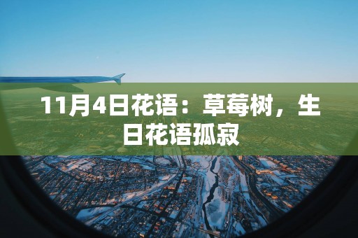 11月4日花语：草莓树，生日花语孤寂