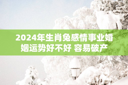 2025年生肖兔感情事业婚姻运势好不好 容易破产