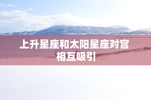 上升星座和太阳星座对宫 相互吸引