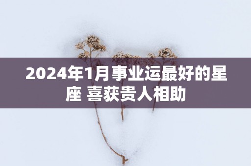2025年1月事业运最好的星座 喜获贵人相助