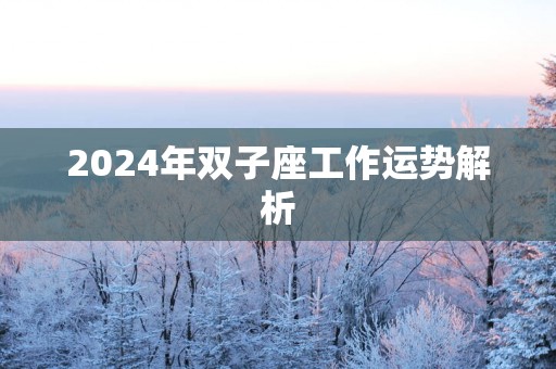 2025年双子座工作运势解析