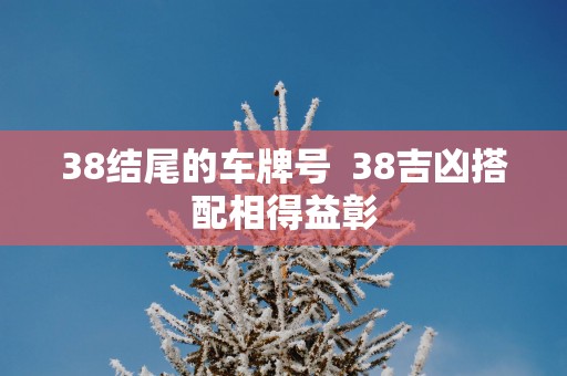 38结尾的车牌号  38吉凶搭配相得益彰