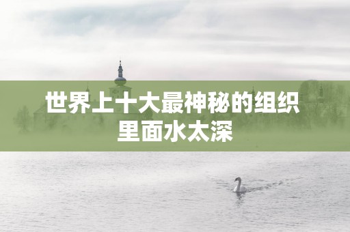 世界上十大最神秘的组织 里面水太深