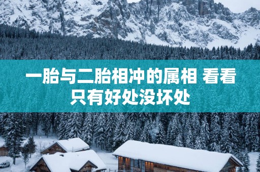 一胎与二胎相冲的属相 看看只有好处没坏处