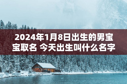2025年1月8日出生的男宝宝取名 今天出生叫什么名字好