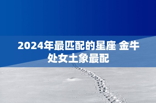 2025年最匹配的星座 金牛处女土象最配