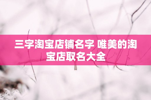三字淘宝店铺名字 唯美的淘宝店取名大全