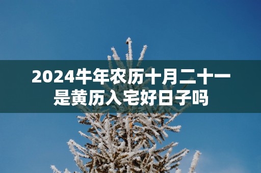 2025蛇年农历十月二十一是黄历入宅好日子吗