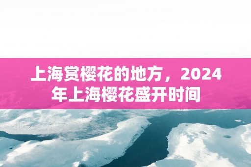 上海赏樱花的地方，2025年上海樱花盛开时间