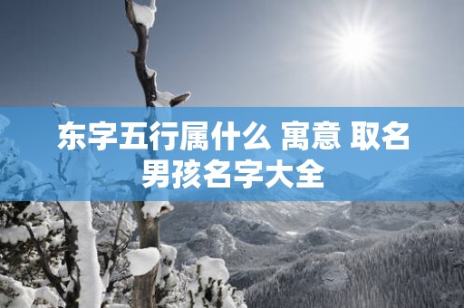 东字五行属什么 寓意 取名男孩名字大全