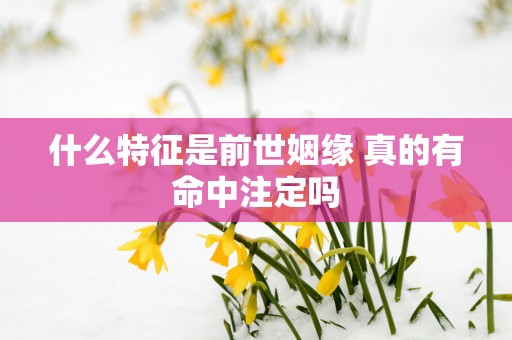 什么特征是前世姻缘 真的有命中注定吗