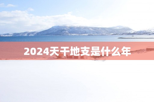 2025天干地支是什么年