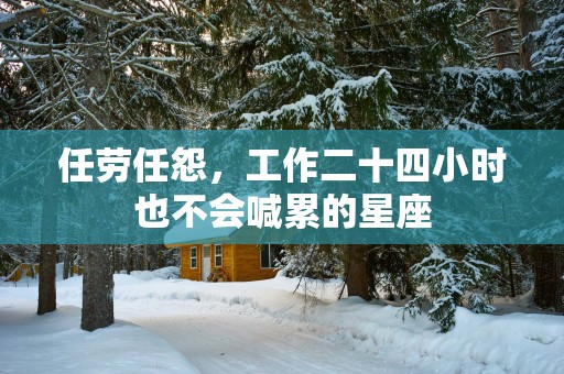任劳任怨，工作二十四小时也不会喊累的星座