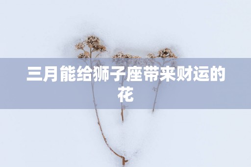 三月能给狮子座带来财运的花