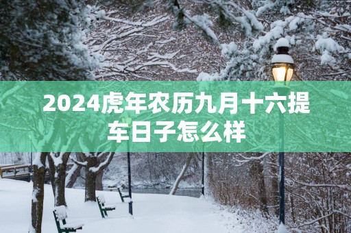 2025蛇年农历九月十六提车日子怎么样