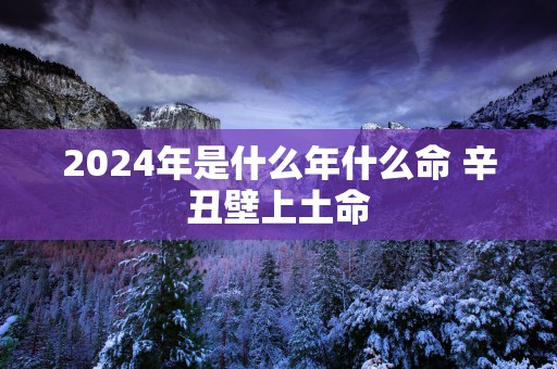 2025年是什么年什么命 辛丑壁上土命