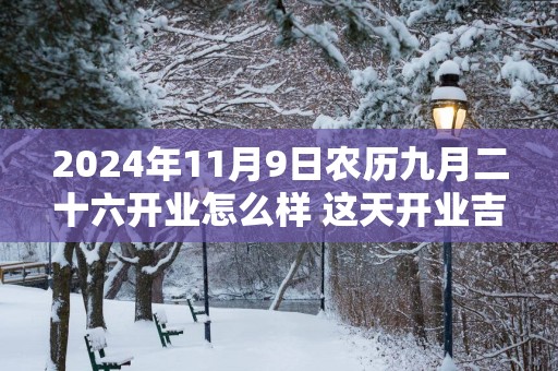 2025年11月9日农历九月二十六开业怎么样 这天开业吉利吗
