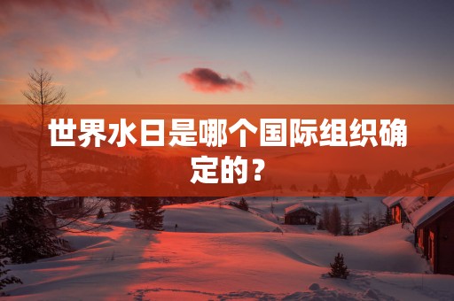 世界水日是哪个国际组织确定的？