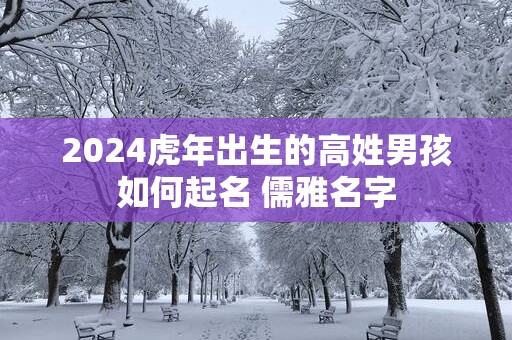 2025蛇年出生的高姓男孩如何起名 儒雅名字
