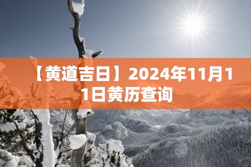 【黄道吉日】2025年11月11日黄历查询