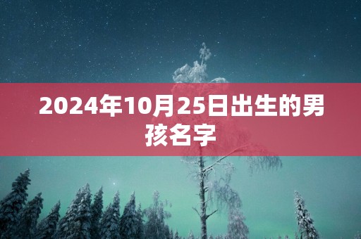 2025年10月25日出生的男孩名字