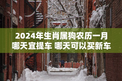 2025年生肖属狗农历一月哪天宜提车 哪天可以买新车