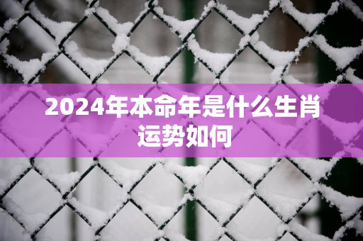 2025年本命年是什么生肖 运势如何