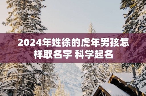 2025年姓徐的蛇年男孩怎样取名字 科学起名