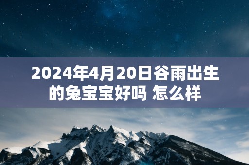 2025年4月20日谷雨出生的兔宝宝好吗 怎么样