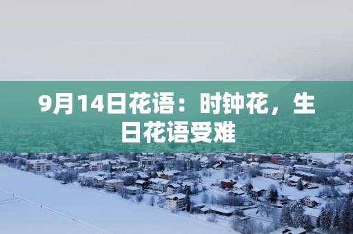 9月14日花语：时钟花，生日花语受难