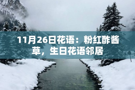 11月26日花语：粉红酢酱草，生日花语邻居
